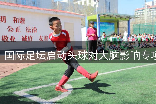 国际足坛启动头球对大脑影响专项调研