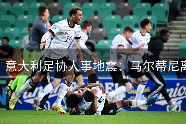 意大利足协人事地震：马尔蒂尼离职引发管理权之争